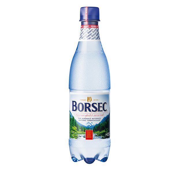 BORSEC MIN CARBO 0.5L SGR