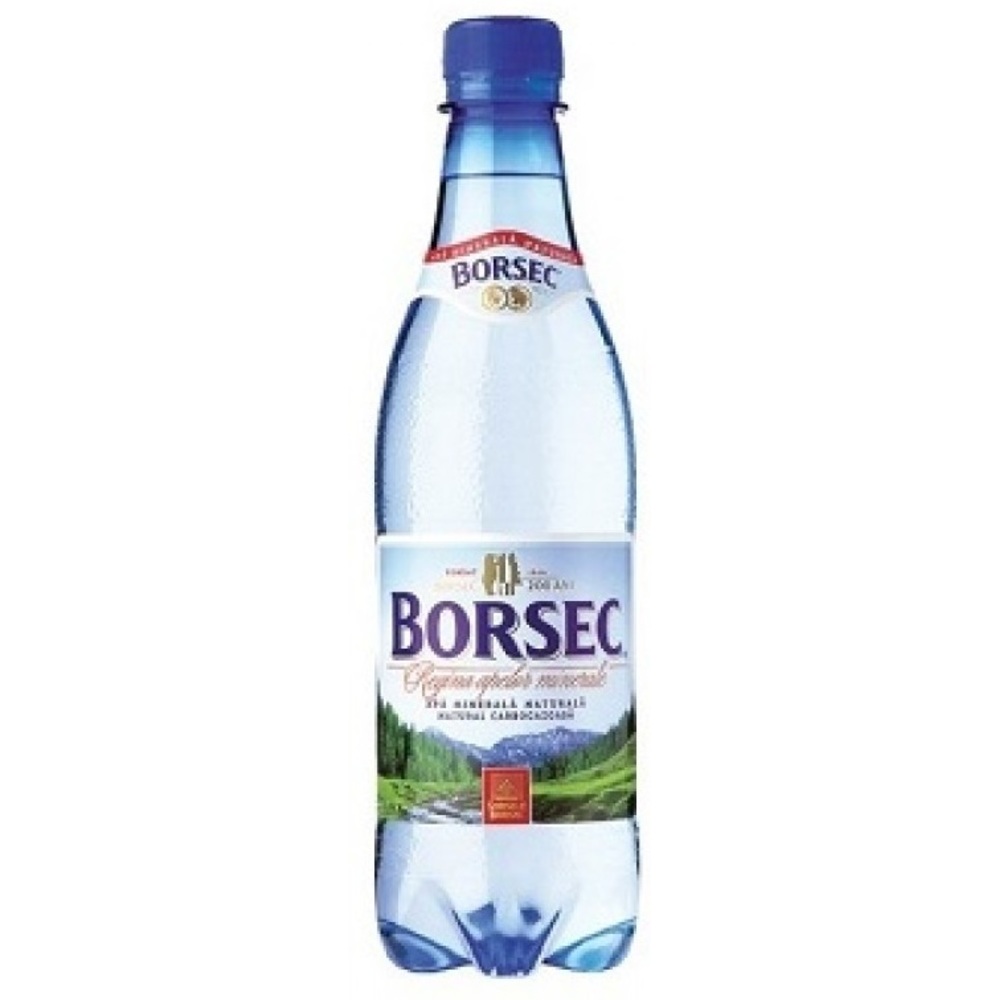 BORSEC MIN CARBO 0.5L